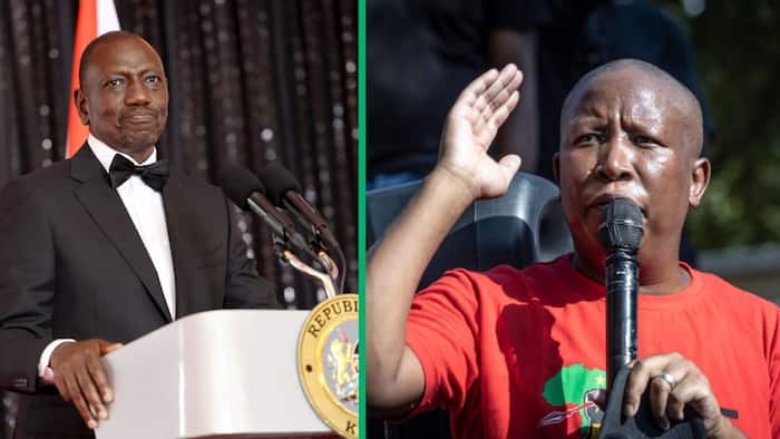 Kenyans upset as EFF leader Malema lambasts President Ruto: "Everything he said was true!"