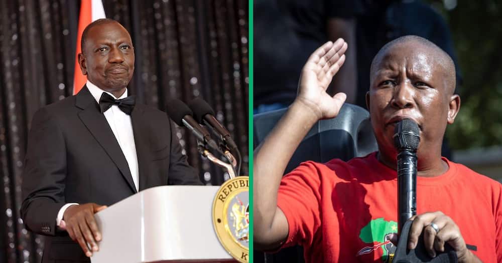 Kenyan President William Ruto and EFF CIC Julius Malema