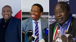 Gayton McKenzie, Bongani Baloyi and Tito Mboweni weigh in on SAPS saying immigrants must carry passports In SA