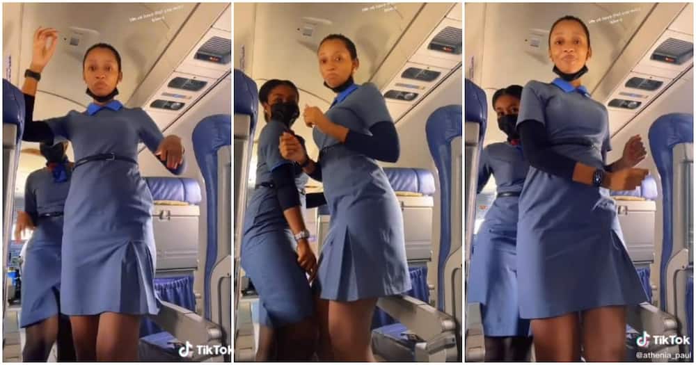 Female flight attendants dance in an aeroplane, female flight attendants, ladies dance in aeroplane, ladies shake waist in aeroplane