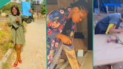 Courageous lady who spent years in university drops degree, learns a trade and becomes a carpenter