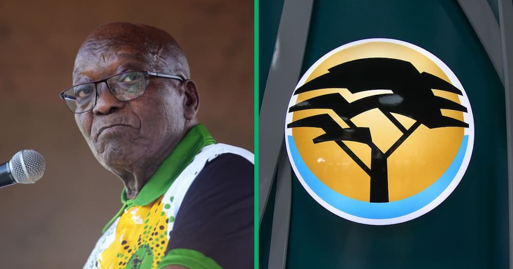Jacob Zuma's FNB account was frozen because he defaulted on his VBS Mutual Bank loan
