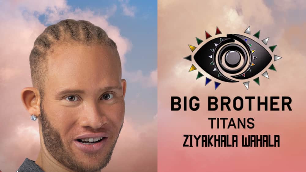 Big Brother Titans housemates 2023: names, profiles, and pictures 