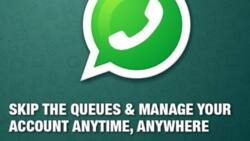 DStv WhatsApp number, helpline, chat platforms, other contact details in 2022