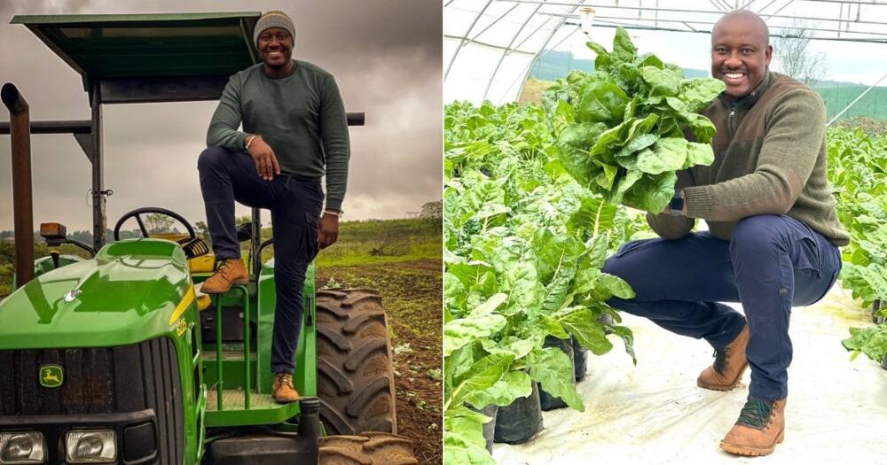 SA Wowed, Farmer, Inspiring, Hustle, Vegetables