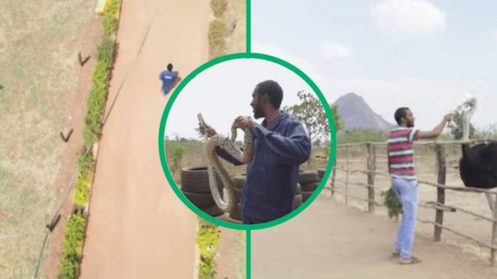 Malawian man living with snakes, wild animals says he's creating own paradise: "Always dreamt of it"