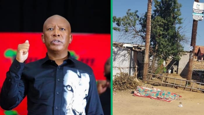 EFF leader Julius Malema expresses grief over a supporter electrocuted during poster installation