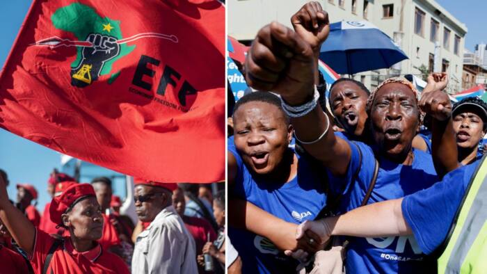 DA welcomes court interdicting EFF’s national shutdown, dividing Mzansi: “Political courts in action”