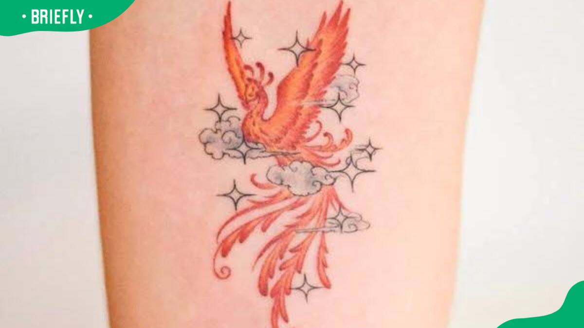 Elegant Phoenix Temporary Tattoo, Phoenix Tattoo, Fake Tattoo, Black Tattoo,  Tiny Tattoo, Meaningful Tattoo, Gift for Her, Animal Tattoo - Etsy Finland