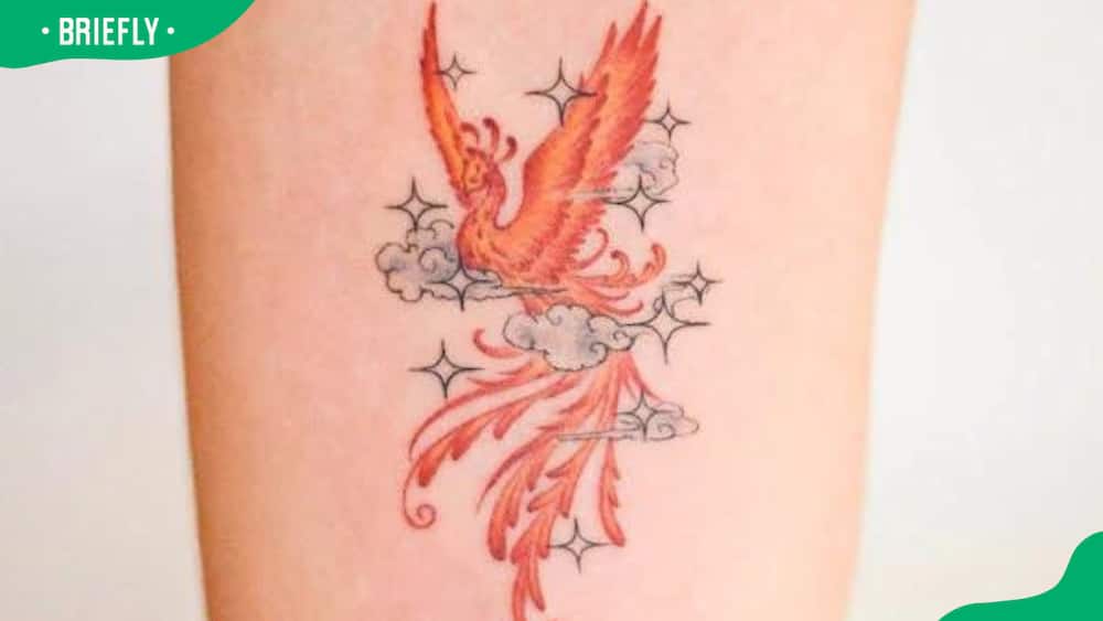 Phoenix tattoo on the cloud