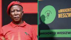 Economic Freedom Fighter's Julius Malema willing to work with pro-land expropriation parties