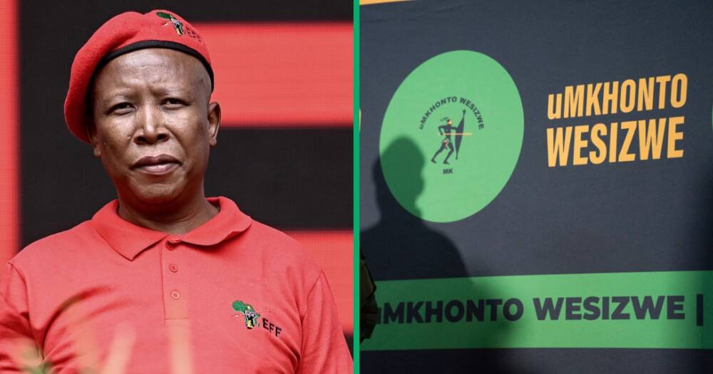 Julius Malema gave a nod to political parties like MK and the Pan Africanist congress as possible coalition partners