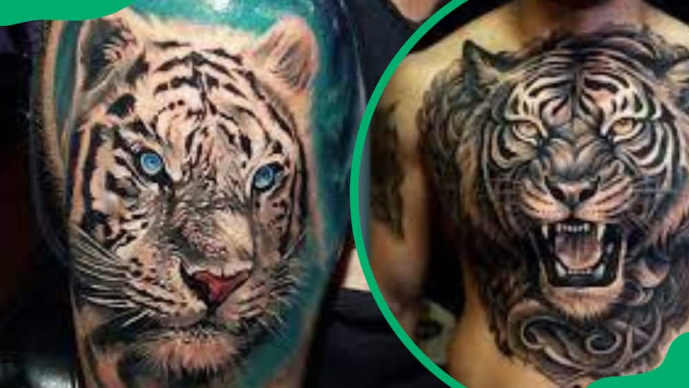 Siberian tiger tattoo design