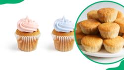 Moist vanilla cupcake recipe: Step-by-step guidelines and tips