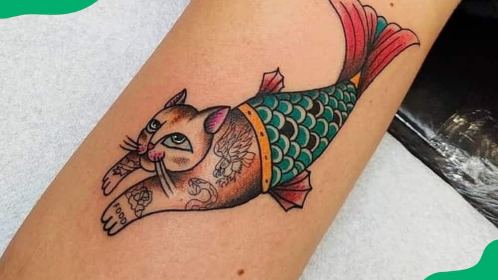 Mermaid cat