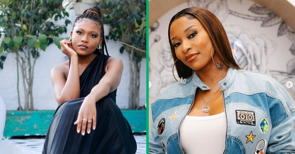 Watch as SA woman on TikTok hilariously shuts down DJ Zinhle lookalike comments