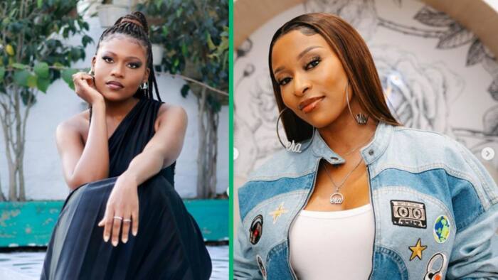 "I don't see it": Johannesburg woman says she's tired of DJ Zinhle lookalike comparisons on TikTok