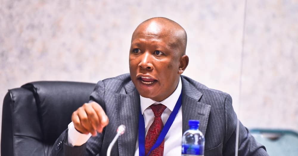 Malema blames the government for young people turning to drugs