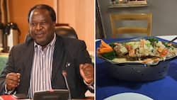 SA citizens stress over another one of Tito Mboweni’s wild meals: Fried fish drowning in garnish and sauce