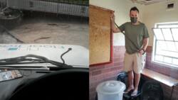 Nick Evans shares how venomous snake tried to slither into man's truck