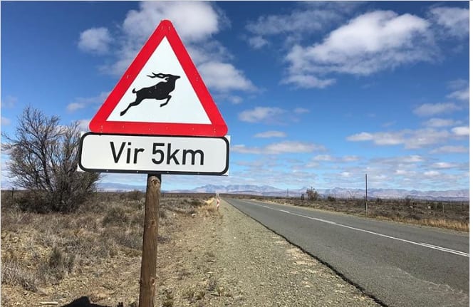 Road signs in South Africa and their meanings - Briefly.co.za