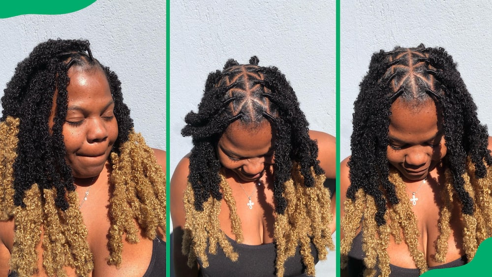 Ombre butterfly locs