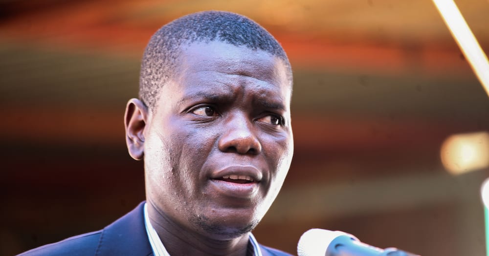 Ronald Lamola, EFF, DA, FF Plus, Land Reform Bill, 18th Amendment