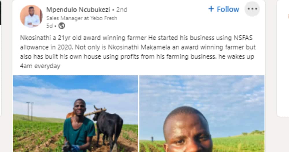 NSFAS, farmer, inspire, South Africa, LinkedIn, social media
