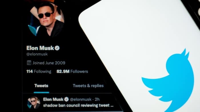 Elon Musk's plan to take over Twitter for R640 billion could be accepted soon, social media users react