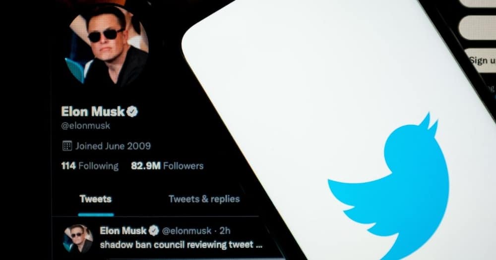 Elon Musk, R640billion, Twitter bid, ownership, could be accepted