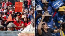 EFF accuses DA of planting criminal elements during national shutdown, SA slams party for “blaming game”