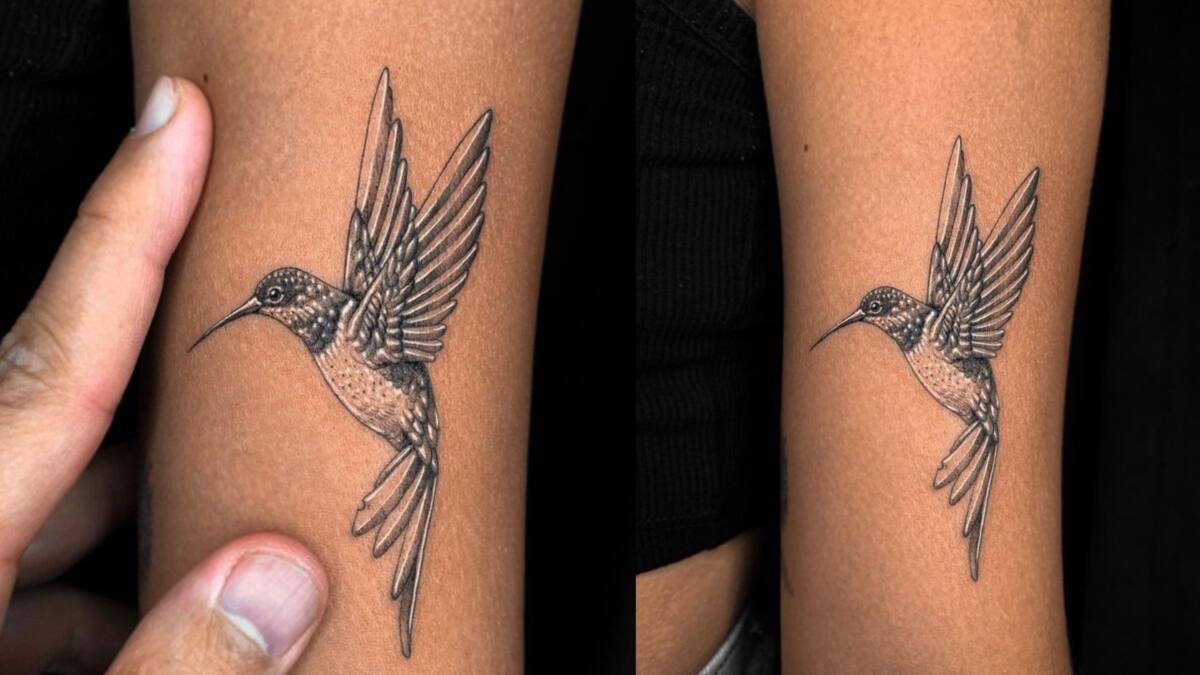 Colorful Hummingbird Temporary Tattoo - Etsy Israel