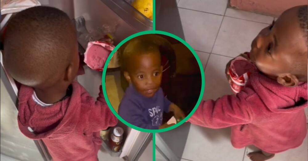 TikTok of child eating polony from fridge