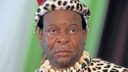 Who are King Zwelithini daughters and where are they today? (with images)