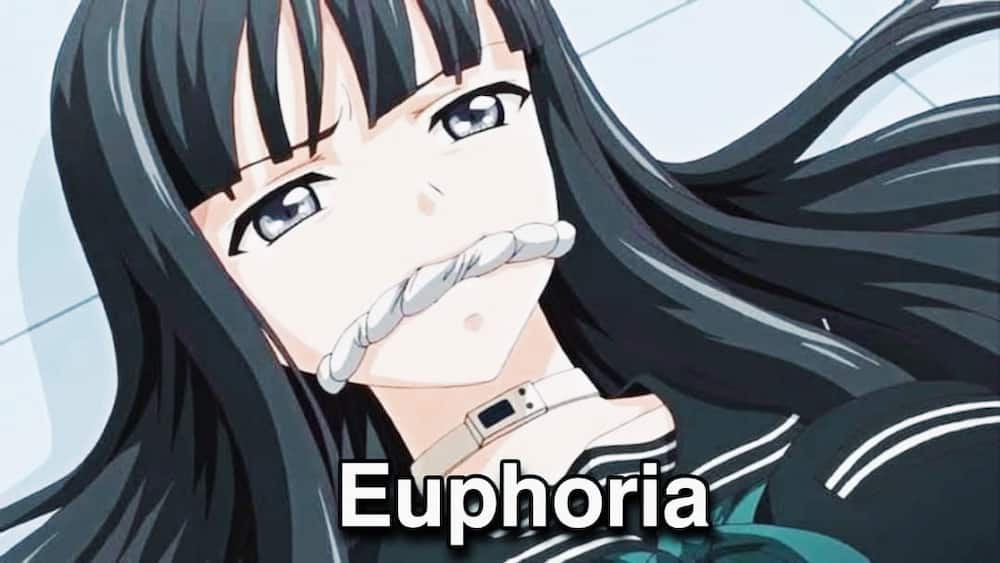 Euphoria hentai anime