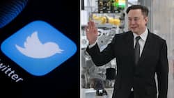 Elon Musk acquires a large portion of Twitter shares, the social media company’s shares rise