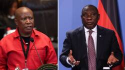 Julius Malema defends Sona disruption, claims Ramaphosa never felt threatened by EFF, Mzansi unconvinced