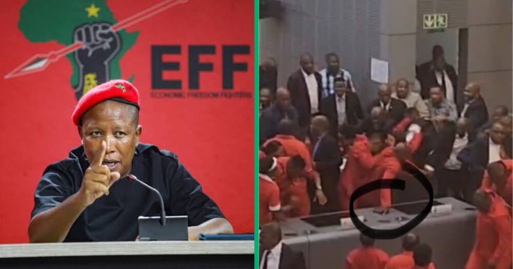 An EFF councillor 'stole and theft' a phone