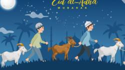 Eid ul Adha 2022 South Africa: time, date, and more details