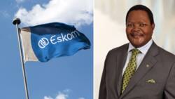 Eskom board announced: Nedbank Chairman Mpho Makwana appointed as new chairperson
