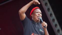 EFF leader Julius Malema has always advocated for Parliament to be moved to Pretoria, old video resurfaces