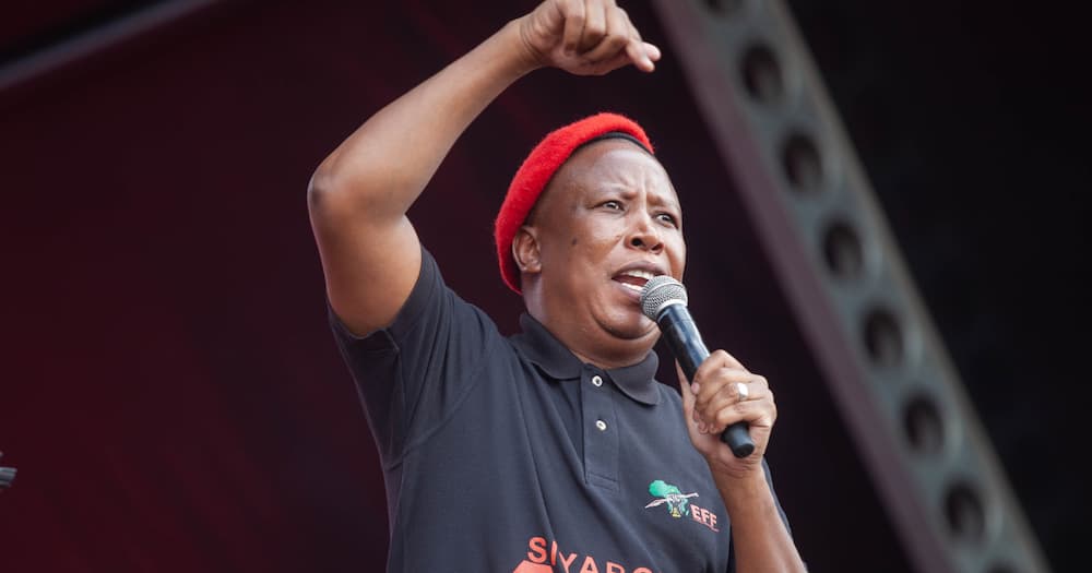 EFF, Julius Malema, Parliament, relocate, Moved Pretoria, video, social media