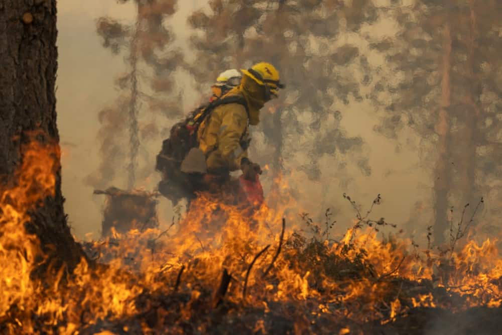 The Oak Fire in central California is the state's most destructive blaze so far this fire season
