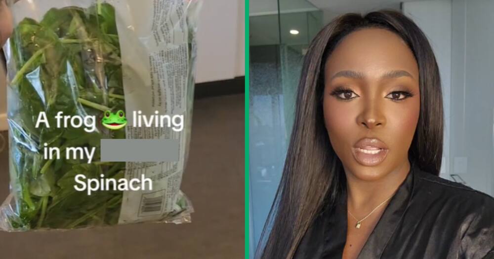 TikTok video posted by user @constance.beauty takes Mzansi by storm as it unveils a live frog