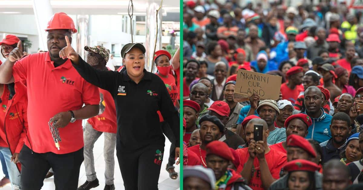 EFF Not Worried About Immigration Policy Ahead Of 2024 Elections   2e2d1c794c5d3eb9 