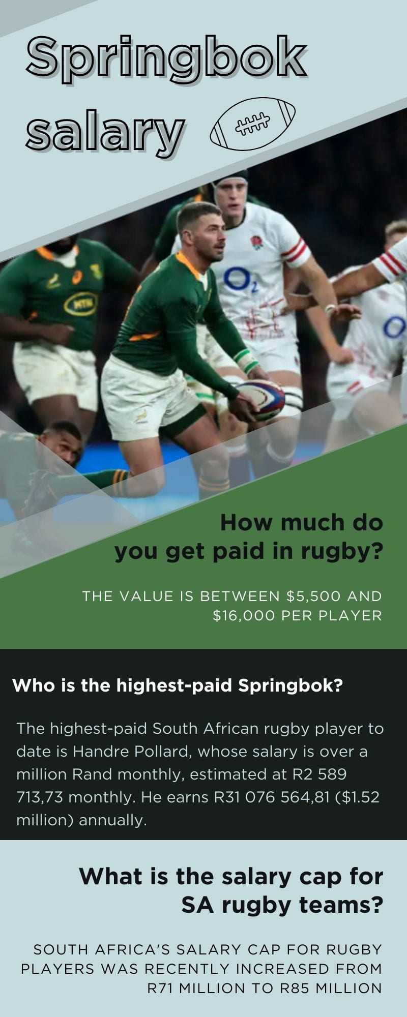 Springbok salary