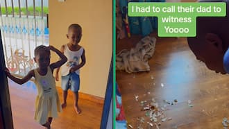 Woman cries after finding kids piggy banks open and money shredded: TikToK video has SA sweating