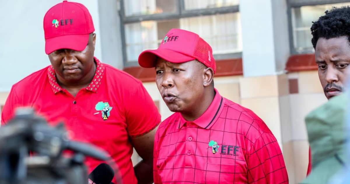 Eff Leader Julius Malema Pledges R500 000 To Help An Informal 