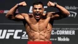 Who is Paulo Costa? Age, family, height, reach, career, profiles, net worth