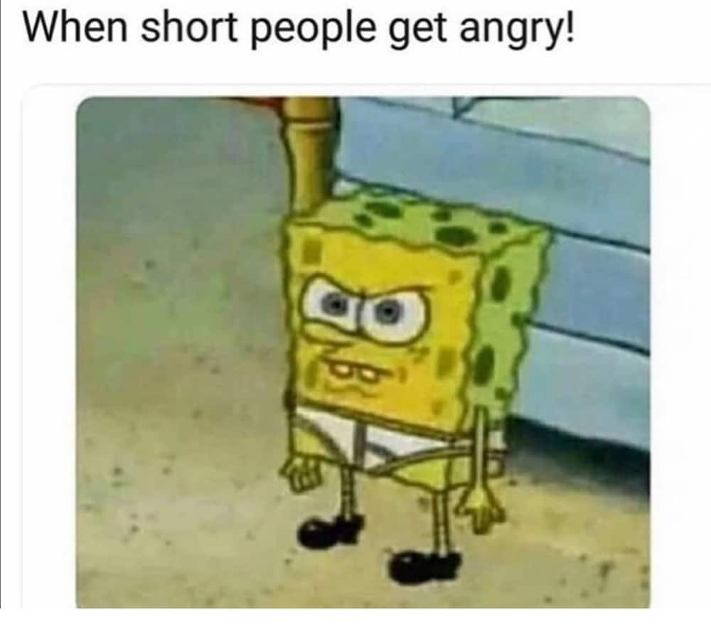 funny short people memes